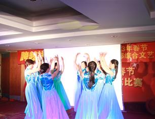 跨越祥和，超越自我—2013春節(jié)聯(lián)歡--財務(wù)處